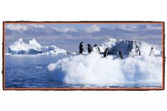 Antarctica continentul pacii si colaborarii internationale